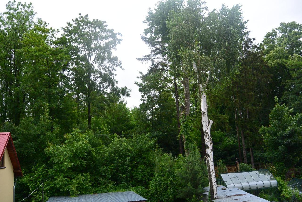 Ferienwohnung Sonia Bad Altheide Exterior foto